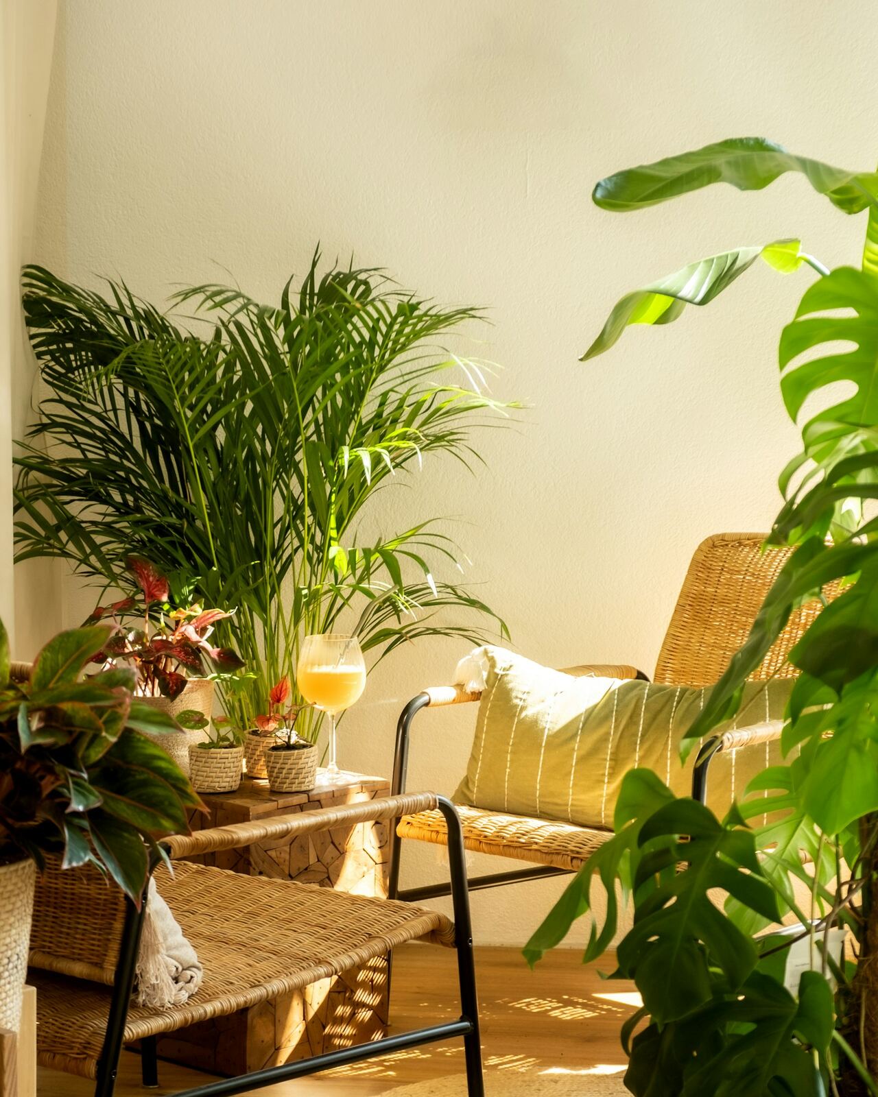Best Indoor Plants & Planters for Small Apartments
